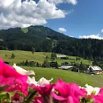 Kronenhirsch Hotel Russbach am Pass Gschütt