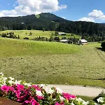 Kronenhirsch 3* Russbach am Pass Gschütt