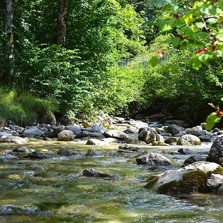 Kronenhirsch