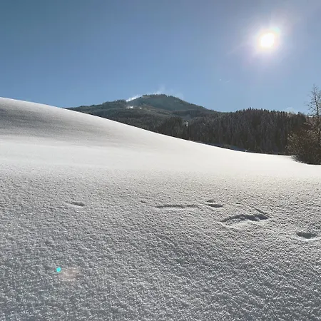 فندق كروننهيرشش