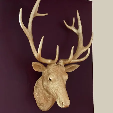 فندق كروننهيرشش فندق 3*