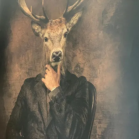 Ξενοδοχείο Kronenhirsch