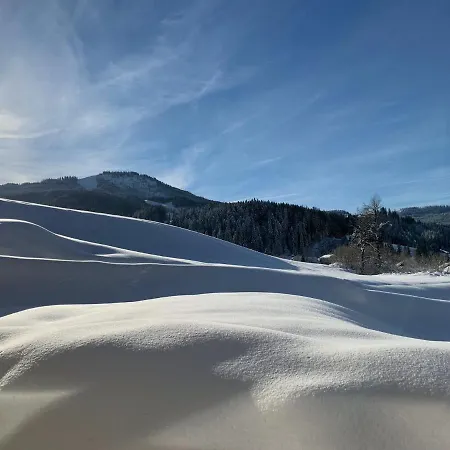 فندق كروننهيرشش 3* روسباخ أم باس غشوت